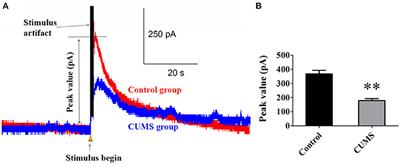 Effects of α2A Adrenoceptors on Norepinephrine Secretion from the Locus Coeruleus during Chronic Stress-Induced Depression